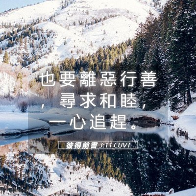 Picture 05 - 彼 得 前 書 3:11 CUVT - 也 要 離 惡 行 善 ， 尋 求 和 睦 ， - Bible Verse Picture