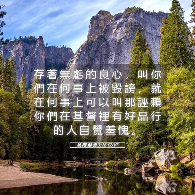 Picture 05 - 彼 得 前 書 3:16 CUVT - 存 著 無 虧 的 良 心 ， 叫 你 們 在 - Bible Verse Picture