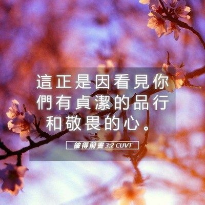Picture 05 - 彼 得 前 書 3:2 CUVT - 這 正 是 因 看 見 你 們 有 貞 潔 的 - Bible Verse Picture