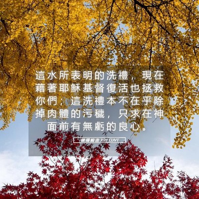 Picture 05 - 彼 得 前 書 3:21 CUVT - 這 水 所 表 明 的 洗 禮 ， 現 在 藉 - Bible Verse Picture