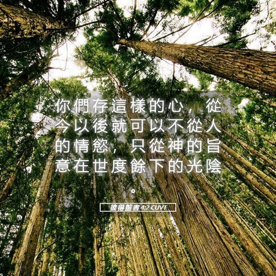 Picture 05 - 彼 得 前 書 4:2 CUVT - 你 們 存 這 樣 的 心 ， 從 今 以 後 - Bible Verse Picture