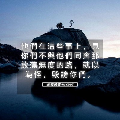 Picture 05 - 彼 得 前 書 4:4 CUVT - 他 們 在 這 些 事 上 ， 見 你 們 不 - Bible Verse Picture