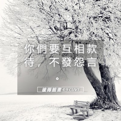 Picture 05 - 彼 得 前 書 4:9 CUVT - 你 們 要 互 相 款 待 ， 不 發 怨 言 - Bible Verse Picture