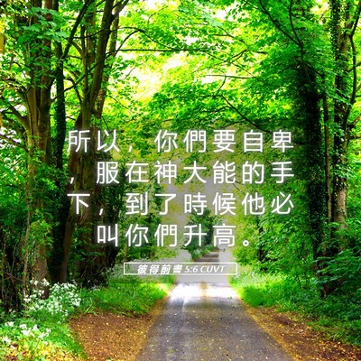 Picture 05 - 彼 得 前 書 5:6 CUVT - 所 以 ， 你 們 要 自 卑 ， 服 在 神 - Bible Verse Picture