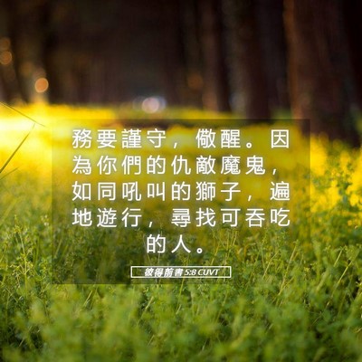 Picture 05 - 彼 得 前 書 5:8 CUVT - 務 要 謹 守 ， 儆 醒 。 因 為 你 們 - Bible Verse Picture