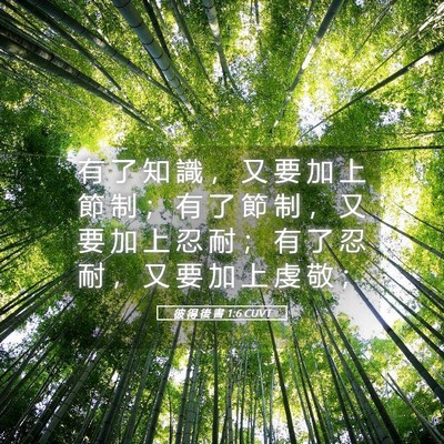 Picture 05 - 彼 得 後 書 1:6 CUVT - 有 了 知 識 ， 又 要 加 上 節 制 ； - Bible Verse Picture