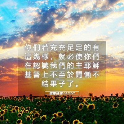 Picture 05 - 彼 得 後 書 1:8 CUVT - 你 們 若 充 充 足 足 的 有 這 幾 樣 - Bible Verse Picture
