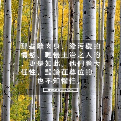 Picture 05 - 彼 得 後 書 2:10 CUVT - 那 些 隨 肉 身 、 縱 污 穢 的 情 慾 - Bible Verse Picture