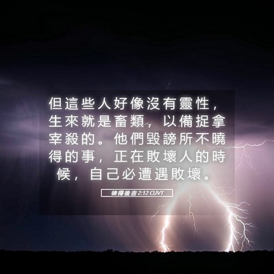 Picture 05 - 彼 得 後 書 2:12 CUVT - 但 這 些 人 好 像 沒 有 靈 性 ， 生 - Bible Verse Picture