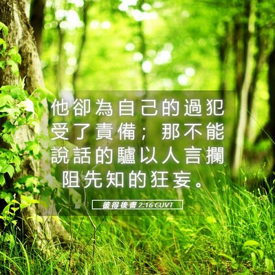 Picture 05 - 彼 得 後 書 2:16 CUVT - 他 卻 為 自 己 的 過 犯 受 了 責 備 - Bible Verse Picture
