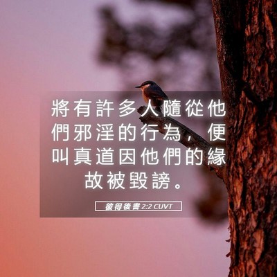 Picture 05 - 彼 得 後 書 2:2 CUVT - 將 有 許 多 人 隨 從 他 們 邪 淫 的 - Bible Verse Picture