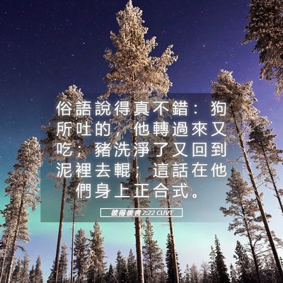 Picture 05 - 彼 得 後 書 2:22 CUVT - 俗 語 說 得 真 不 錯 ： 狗 所 吐 的 - Bible Verse Picture