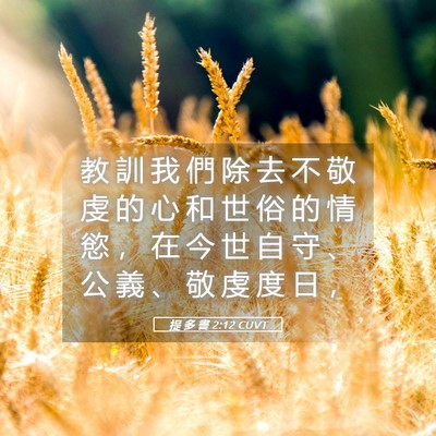 Picture 05 - 提 多 書 2:12 CUVT - 教 訓 我 們 除 去 不 敬 虔 的 心 和 - Bible Verse Picture