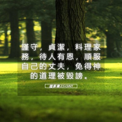 Picture 05 - 提 多 書 2:5 CUVT - 謹 守 ， 貞 潔 ， 料 理 家 務 ， 待 - Bible Verse Picture