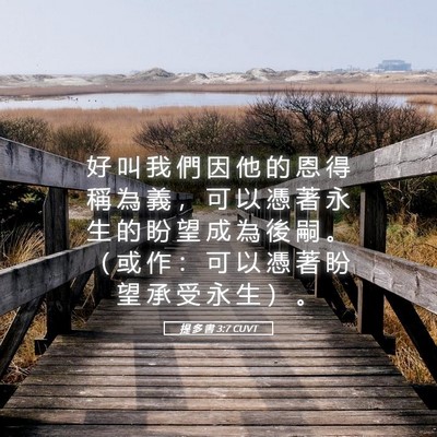 Picture 05 - 提 多 書 3:7 CUVT - 好 叫 我 們 因 他 的 恩 得 稱 為 義 - Bible Verse Picture