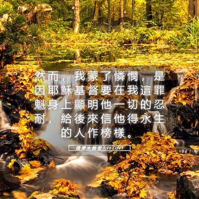 Picture 05 - 提 摩 太 前 書 1:16 CUVT - 然 而 ， 我 蒙 了 憐 憫 ， 是 因 耶 - Bible Verse Picture