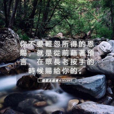 Picture 05 - 提 摩 太 前 書 4:14 CUVT - 你 不 要 輕 忽 所 得 的 恩 賜 ， 就 - Bible Verse Picture