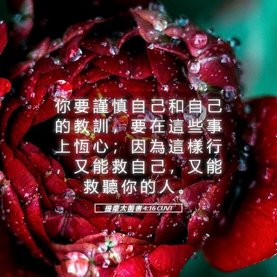 Picture 05 - 提 摩 太 前 書 4:16 CUVT - 你 要 謹 慎 自 己 和 自 己 的 教 訓 - Bible Verse Picture