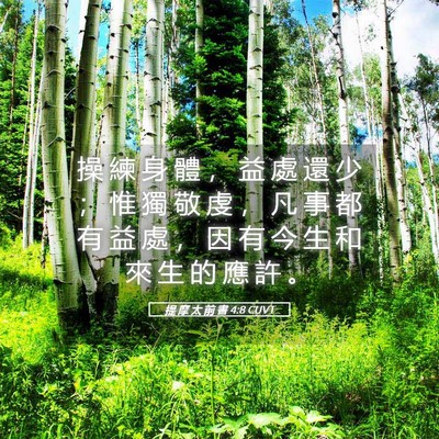 Picture 05 - 提 摩 太 前 書 4:8 CUVT - 操 練 身 體 ， 益 處 還 少 ； 惟 獨 - Bible Verse Picture