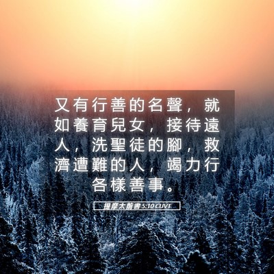 Picture 05 - 提 摩 太 前 書 5:10 CUVT - 又 有 行 善 的 名 聲 ， 就 如 養 育 - Bible Verse Picture