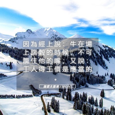 Picture 05 - 提 摩 太 前 書 5:18 CUVT - 因 為 經 上 說 ： 牛 在 場 上 踹 穀 - Bible Verse Picture