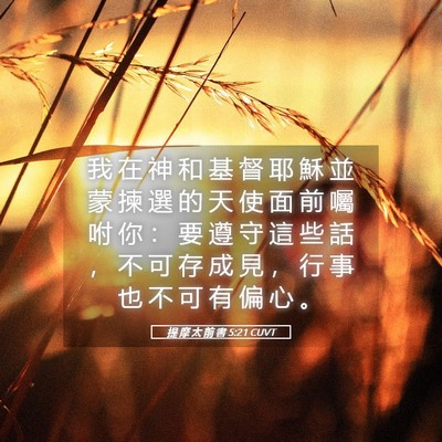 Picture 05 - 提 摩 太 前 書 5:21 CUVT - 我 在 神 和 基 督 耶 穌 並 蒙 揀 選 - Bible Verse Picture