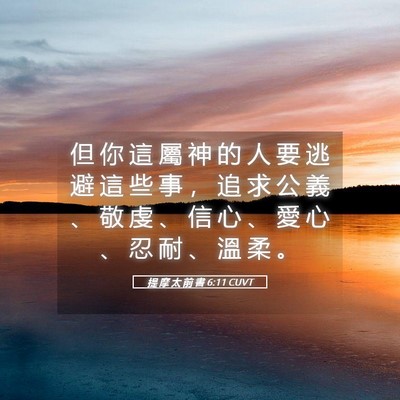 Picture 05 - 提 摩 太 前 書 6:11 CUVT - 但 你 這 屬 神 的 人 要 逃 避 這 些 - Bible Verse Picture