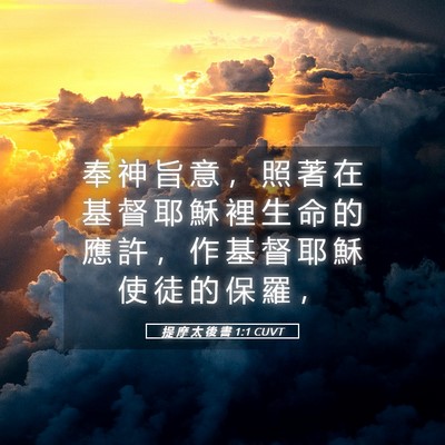 Picture 05 - 提 摩 太 後 書 1:1 CUVT - 奉 神 旨 意 ， 照 著 在 基 督 耶 穌 - Bible Verse Picture