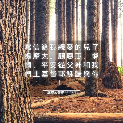 Picture 05 - 提 摩 太 後 書 1:2 CUVT - 寫 信 給 我 親 愛 的 兒 子 提 摩 太 - Bible Verse Picture