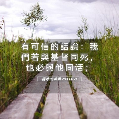 Picture 05 - 提 摩 太 後 書 2:11 CUVT - 有 可 信 的 話 說 ： 我 們 若 與 基 - Bible Verse Picture