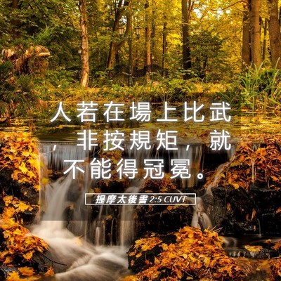 Picture 05 - 提 摩 太 後 書 2:5 CUVT - 人 若 在 場 上 比 武 ， 非 按 規 矩 - Bible Verse Picture