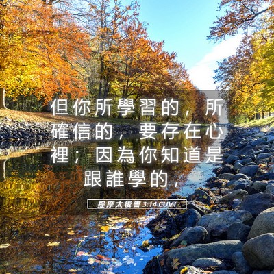 Picture 05 - 提 摩 太 後 書 3:14 CUVT - 但 你 所 學 習 的 ， 所 確 信 的 ， - Bible Verse Picture