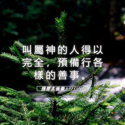 Picture 05 - 提 摩 太 後 書 3:17 CUVT - 叫 屬 神 的 人 得 以 完 全 ， 預 備 - Bible Verse Picture