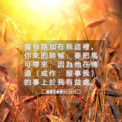 Picture 05 - 提 摩 太 後 書 4:11 CUVT - 獨 有 路 加 在 我 這 裡 。 你 來 的 - Bible Verse Picture