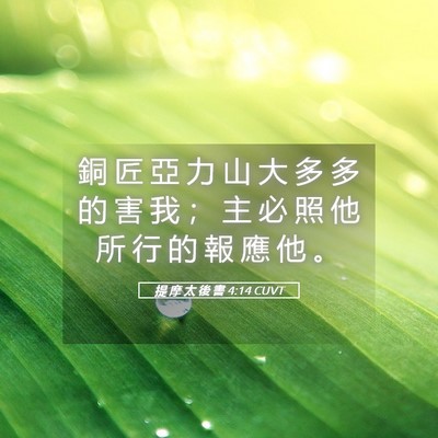 Picture 05 - 提 摩 太 後 書 4:14 CUVT - 銅 匠 亞 力 山 大 多 多 的 害 我 ； - Bible Verse Picture