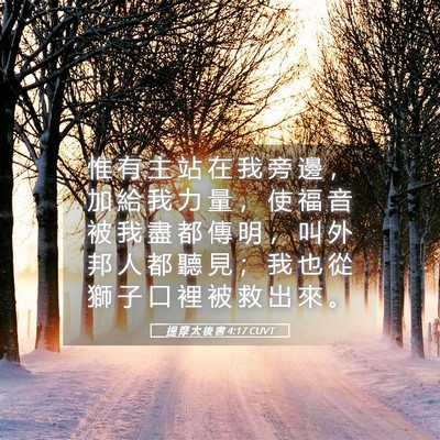 Picture 05 - 提 摩 太 後 書 4:17 CUVT - 惟 有 主 站 在 我 旁 邊 ， 加 給 我 - Bible Verse Picture