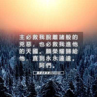Picture 05 - 提 摩 太 後 書 4:18 CUVT - 主 必 救 我 脫 離 諸 般 的 兇 惡 ， - Bible Verse Picture