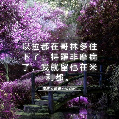 Picture 05 - 提 摩 太 後 書 4:20 CUVT - 以 拉 都 在 哥 林 多 住 下 了 。 特 - Bible Verse Picture