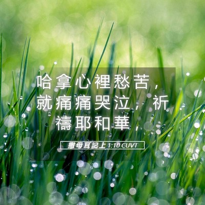 Picture 05 - 撒 母 耳 記 上 1:10 CUVT - 哈 拿 心 裡 愁 苦 ， 就 痛 痛 哭 泣 - Bible Verse Picture