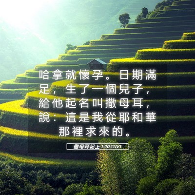 Picture 05 - 撒 母 耳 記 上 1:20 CUVT - 哈 拿 就 懷 孕 。 日 期 滿 足 ， 生 - Bible Verse Picture