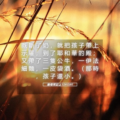 Picture 05 - 撒 母 耳 記 上 1:24 CUVT - 既 斷 了 奶 ， 就 把 孩 子 帶 上 示 - Bible Verse Picture