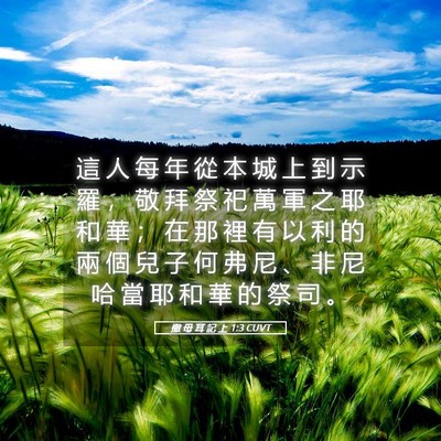 Picture 05 - 撒 母 耳 記 上 1:3 CUVT - 這 人 每 年 從 本 城 上 到 示 羅 ， - Bible Verse Picture