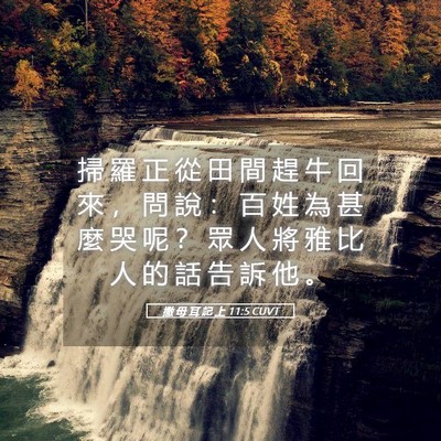 Picture 05 - 撒 母 耳 記 上 11:5 CUVT - 掃 羅 正 從 田 間 趕 牛 回 來 ， 問 - Bible Verse Picture