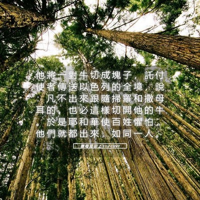Picture 05 - 撒 母 耳 記 上 11:7 CUVT - 他 將 一 對 牛 切 成 塊 子 ， 託 付 - Bible Verse Picture