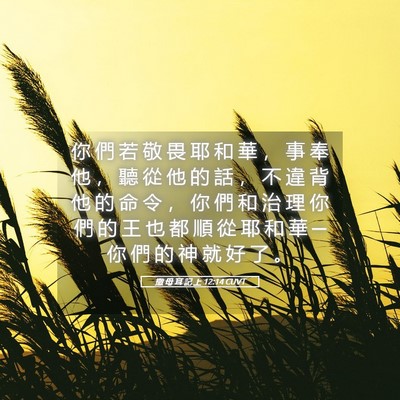 Picture 05 - 撒 母 耳 記 上 12:14 CUVT - 你 們 若 敬 畏 耶 和 華 ， 事 奉 他 - Bible Verse Picture