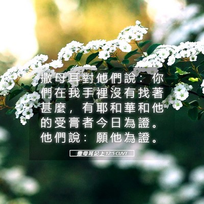Picture 05 - 撒 母 耳 記 上 12:5 CUVT - 撒 母 耳 對 他 們 說 ： 你 們 在 我 - Bible Verse Picture
