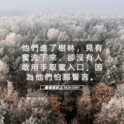 Picture 05 - 撒 母 耳 記 上 14:26 CUVT - 他 們 進 了 樹 林 ， 見 有 蜜 流 下 - Bible Verse Picture