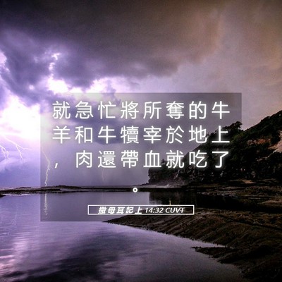 Picture 05 - 撒 母 耳 記 上 14:32 CUVT - 就 急 忙 將 所 奪 的 牛 羊 和 牛 犢 - Bible Verse Picture