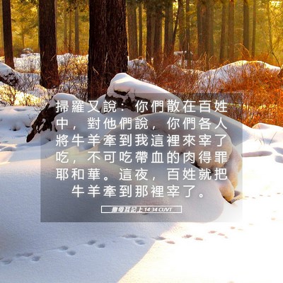 Picture 05 - 撒 母 耳 記 上 14:34 CUVT - 掃 羅 又 說 ： 你 們 散 在 百 姓 中 - Bible Verse Picture