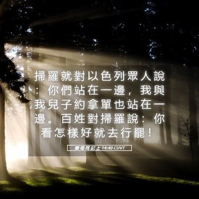 Picture 05 - 撒 母 耳 記 上 14:40 CUVT - 掃 羅 就 對 以 色 列 眾 人 說 ： 你 - Bible Verse Picture